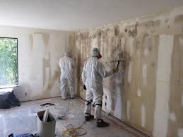 Best Mold Documentation for Insurance Claims  in Winsted, MN